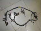   Honda CBR 1100 XX Super BlackBird 96-98